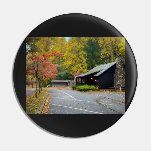 Fall in Vogel State Park Pin by Ckauzmann