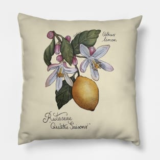 Citrus Lemon Botanical Illustration blossom and leaves Pillow