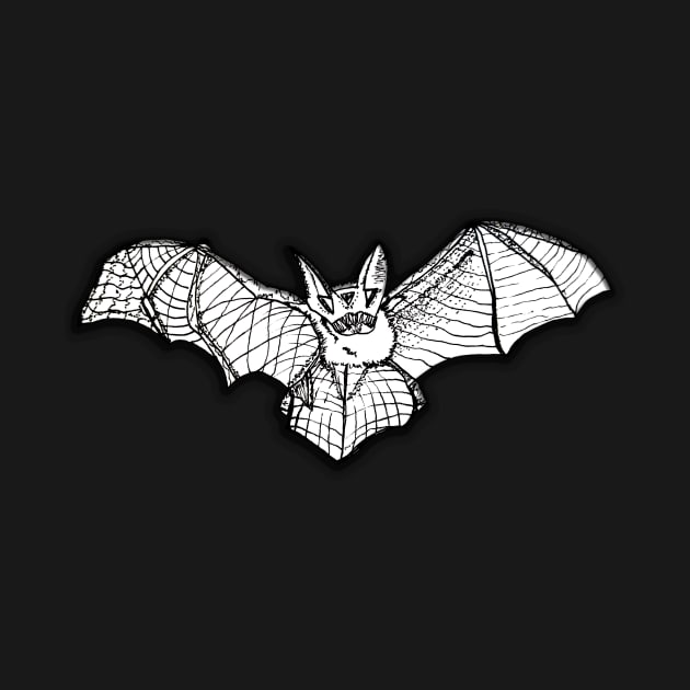 Bat by IanWylie87