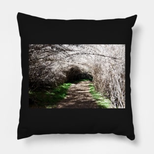 Argentine - San Carlos de Bariloche Pillow