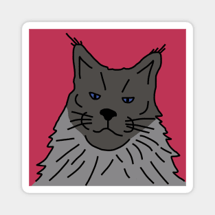 Maine Coon Cat Portrait with Background in Viva Magenta Magnet