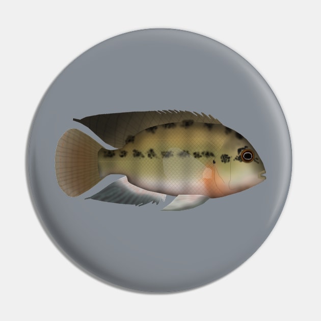 True Parrot Cichlid Pin by FishFolkArt