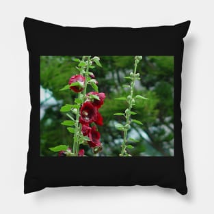 Red Hollyhocks Pillow