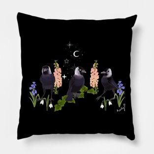 Mystic Jackdaw Pillow