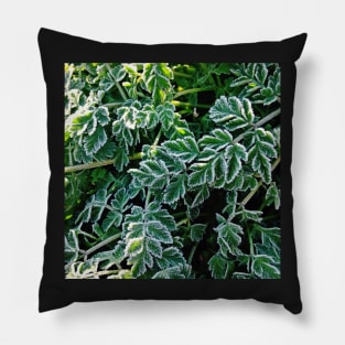 Frosty leaves Pillow