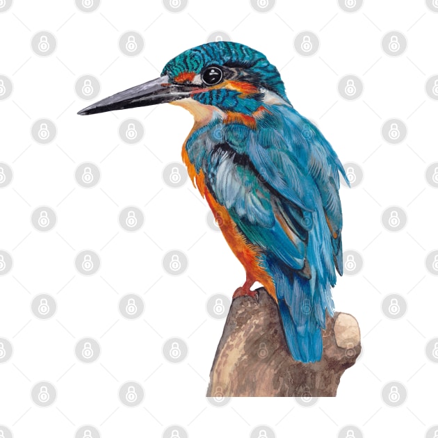 Kingfisher, Watercolor Kingfisher, Watercolor bird, Bird Painting, Blue bird by WhileIWonder