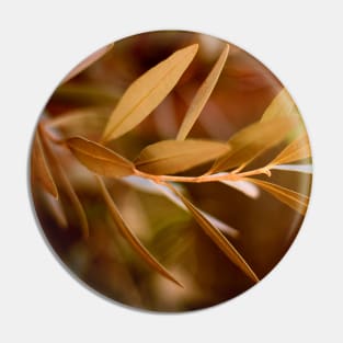 Visible Peace - an Olive Branch Pin