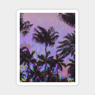 Palm Visions Magnet