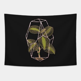 Jewel orchid Geometric terrarium Tapestry