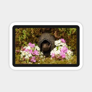 George the mouse in a log pile House spring flowers Magnet