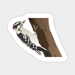 Downy Woodpecker Bird Magnet