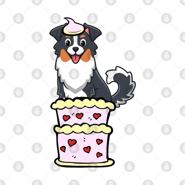 Collie dog Jumping out of a cake by Pet Station