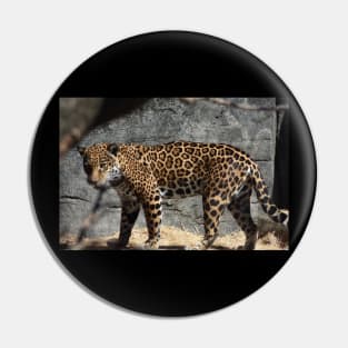 Jaguar Pin