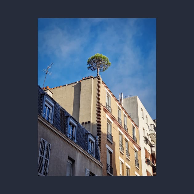 Pine tree on the top of a building by psychoshadow