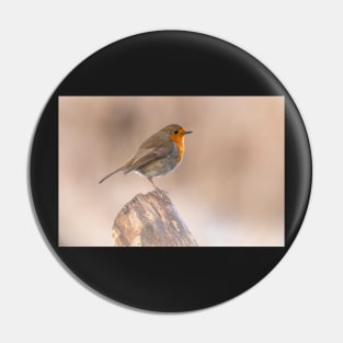 Robin perch Pin