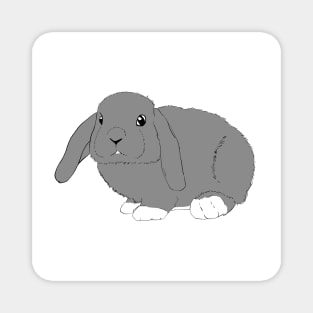 Lop rabbit black gray white Magnet