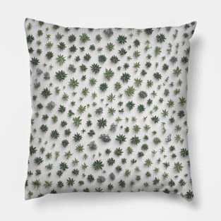 Chromatic Botanic Abstraction #98 Pillow