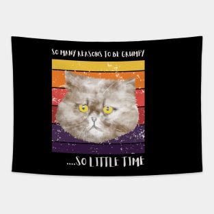 So many reasons to be grumpy...so little time. Tapestry