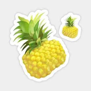 Pineapple Magnet