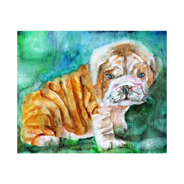 BULLDOG PUPPY  - watercolor portrait by lautir