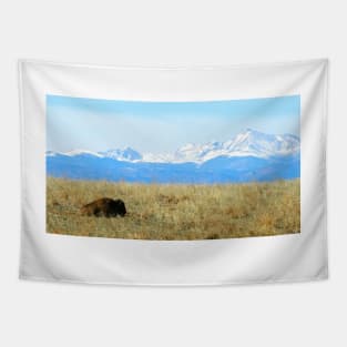 Lone Buffalo watching the Rocky Mountains Tapestry