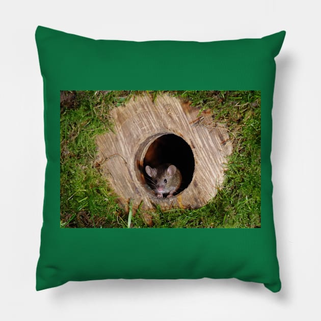 Mouse in a mossey hole Pillow by Simon-dell