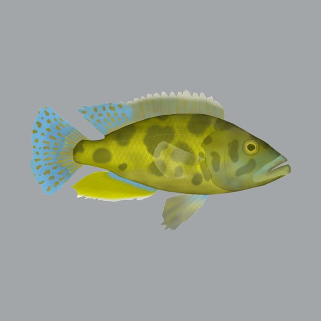 Livingston Cichlid by FishFolkArt