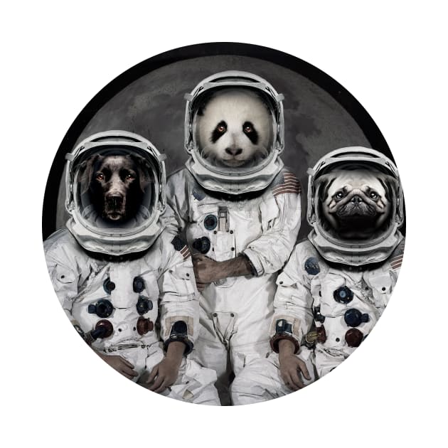 Astronaut Dogs by Vin Zzep