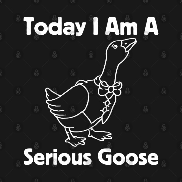 Today I Am A Serious Goose by HobbyAndArt