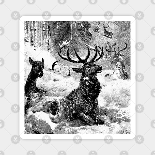 The Deer in the Snow Avalanche Magnet by Marccelus