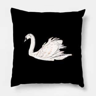 Swan Pillow