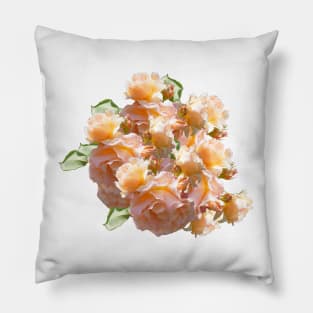 Roses - Magpie Springs - Adelaide Hills Wine Region - Fleurieu Peninsula - South Australia Pillow