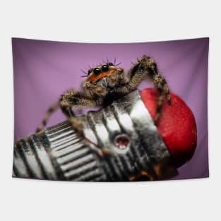 Tiny Weaver Spider Wall Art Home Decor Tapestry