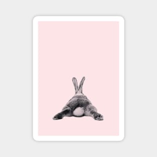 Rabbit 22 Magnet