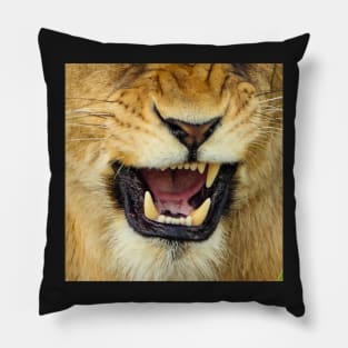 Roaring lioness Pillow