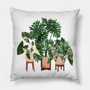 Potted Plants 10 Pillow