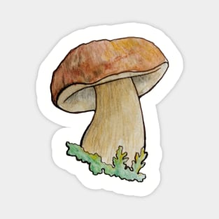 Porcini Magnet