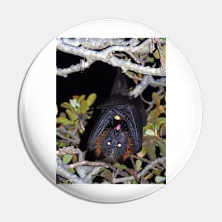 Grey-headed flying fox Pin