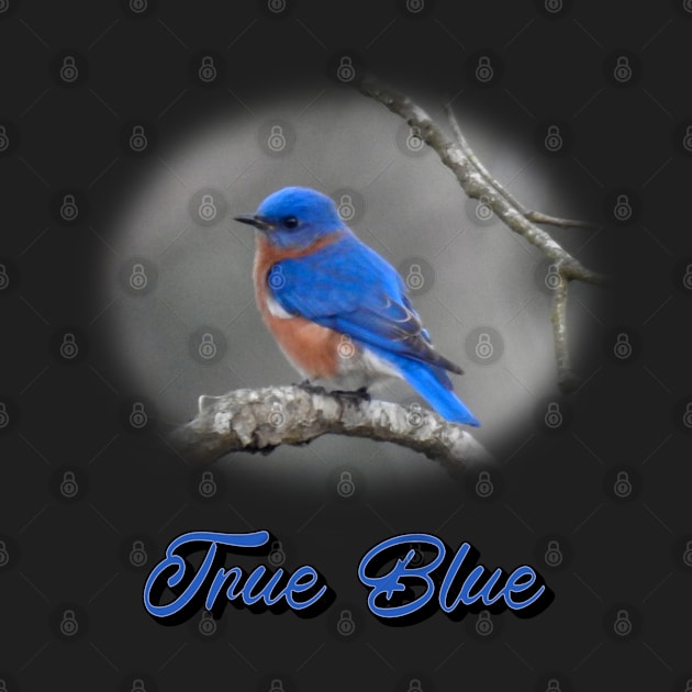 True Blue Eastern Bluebird by Paul Prints