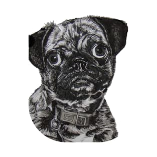 In need of cuddles!!! ....Pug T-Shirt