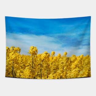 Yellow and Blue - Canola Field and Sky Tapestry