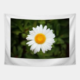 One White Daisy Tapestry