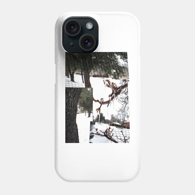 Photo mash up of the day it snowed. February 2022 Phone Case by TriForceDesign