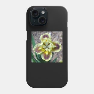 Yellow Bearded Iris Closeup Phone Case