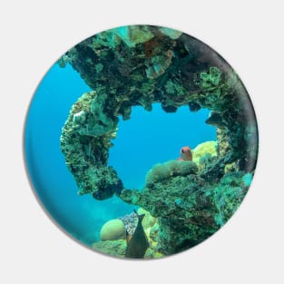 Coral reef and fish Pin