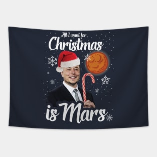 All I Want For Christmas Tapestry