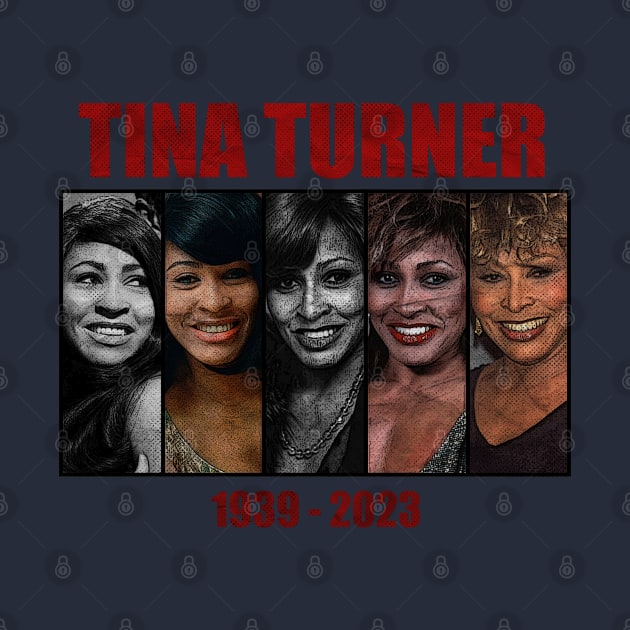 Tina Turner Evolution Photo Vintage Aesthetic // Queen of rock and roll by kumurkumur