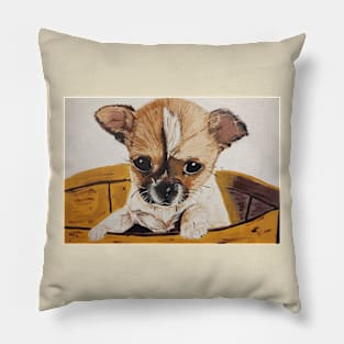 Chihuahua baby Pillow