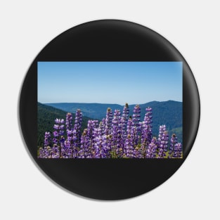 Purple lupine and blue mountains. Pin