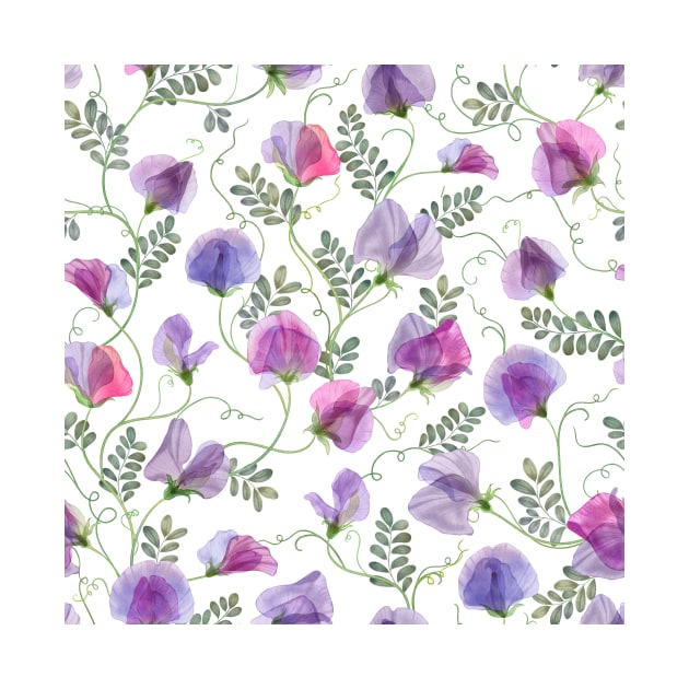 Sweet pea watercolor flowers and leaves seamless translucent composition. Transparent floral spring romantic bouquets by likapix